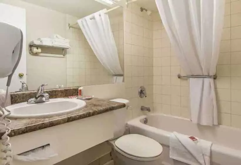 Standard-huone, Econo Lodge