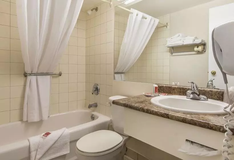 Standard-huone, Econo Lodge