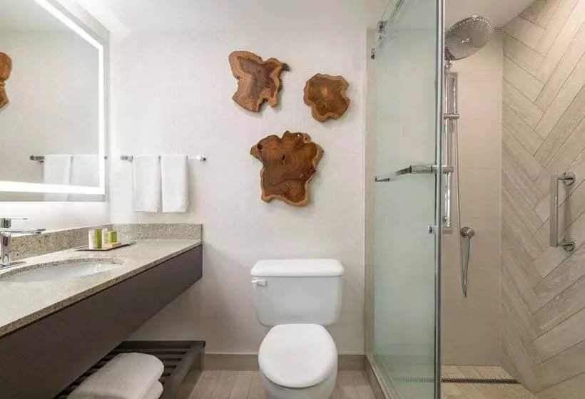 سوییت جونیور, Hilton Vancouver Airport