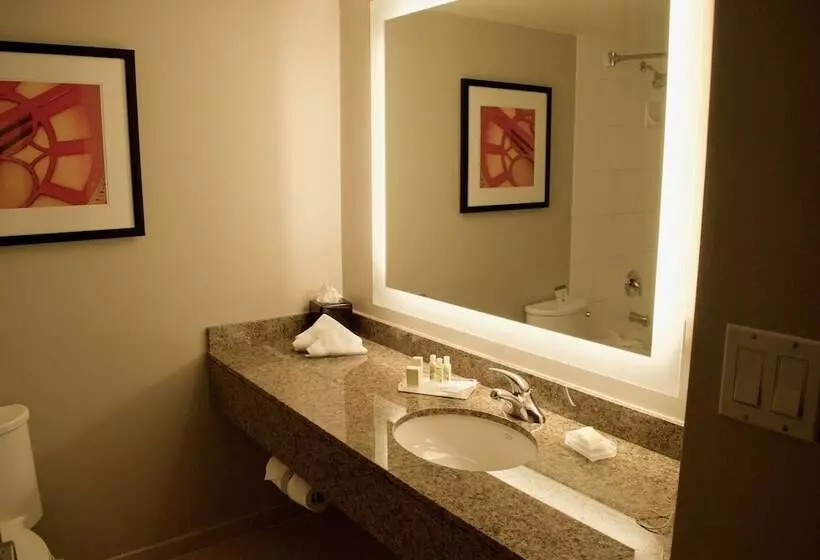 ２ダブルベッドのスタンダードルーム, Holiday Inn Vancouver Airport Richmond, An Ihg