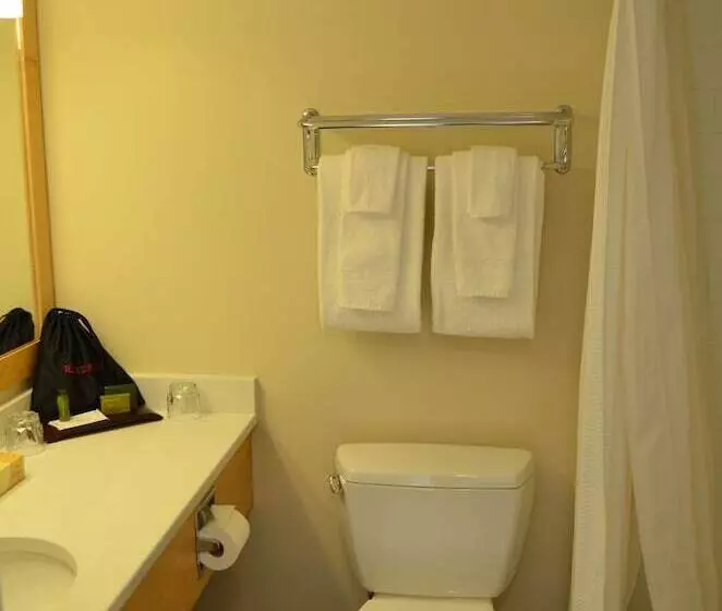 اتاق استاندارد با 2 تخت دوبل, Inn On Long Lake