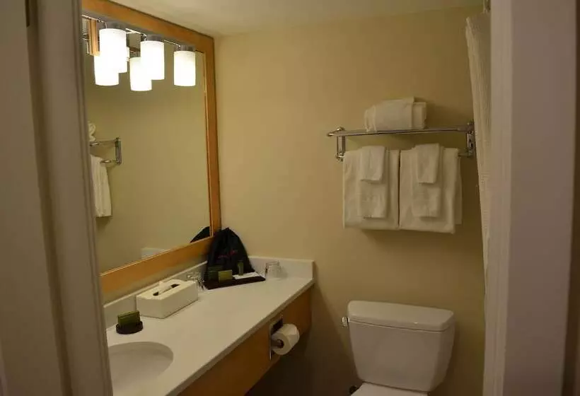 اتاق استاندارد با 2 تخت دوبل, Inn On Long Lake