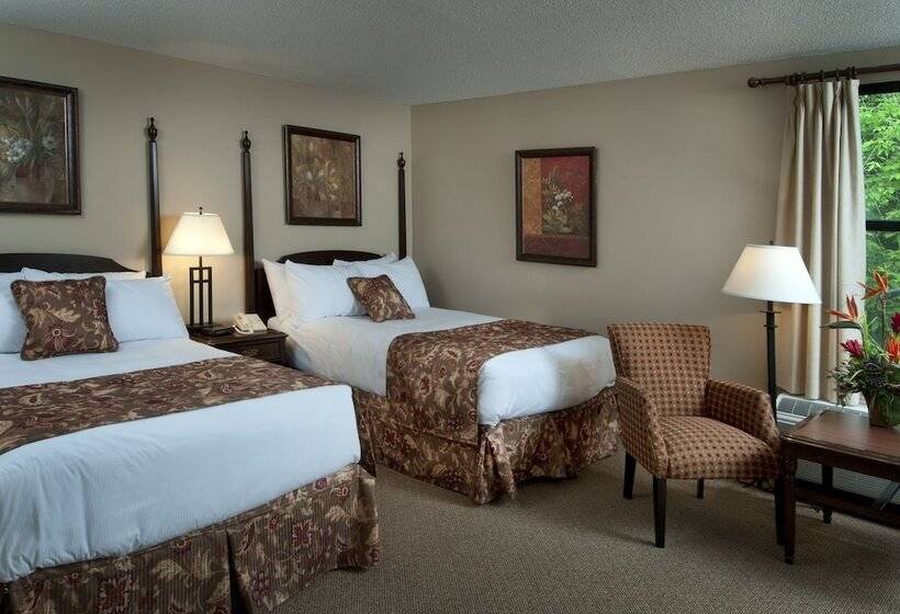 带2个双人床的标准工作室, Maritime Inn Antigonish