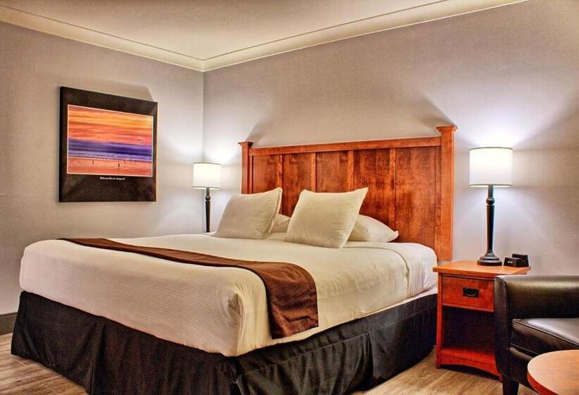 带大床的标准间, Maritime Inn Antigonish