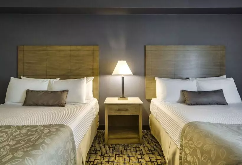 スタンダードルーム, Monte Carlo Inn Oakville Suites