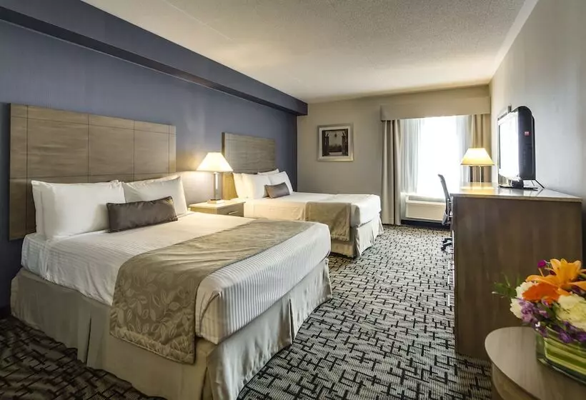 スタンダードルーム, Monte Carlo Inn Oakville Suites
