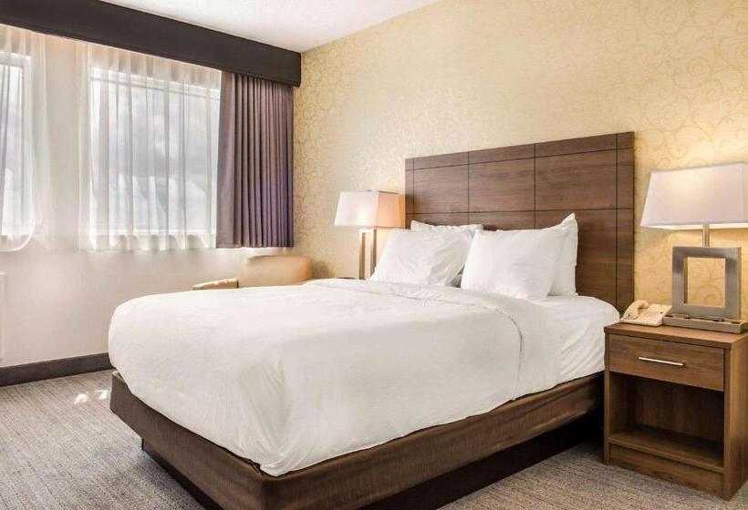 标准间, Quality Hotel Dorval Aeroport