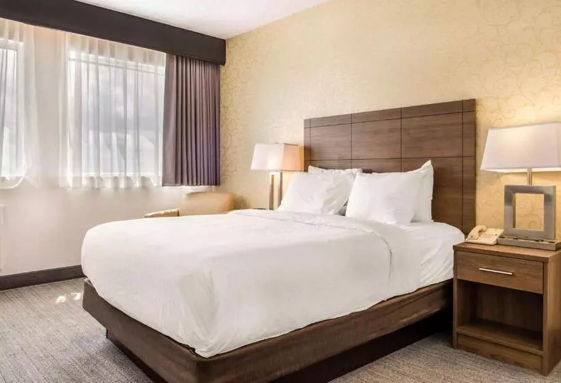 اتاق استاندارد, Quality Hotel Dorval Aeroport
