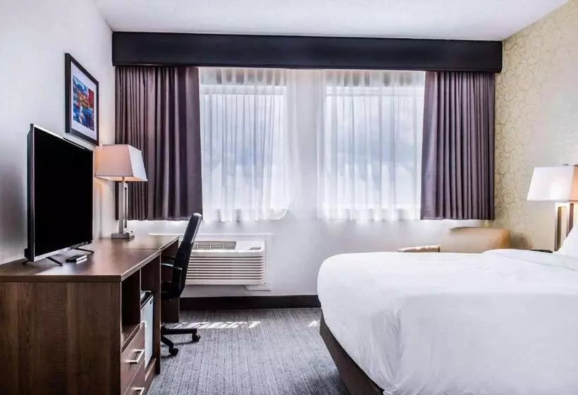 اتاق استاندارد, Quality Hotel Dorval Aeroport