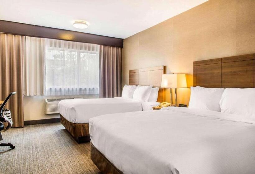 ２ダブルベッドのスタンダードルーム, Quality Hotel Dorval Aeroport