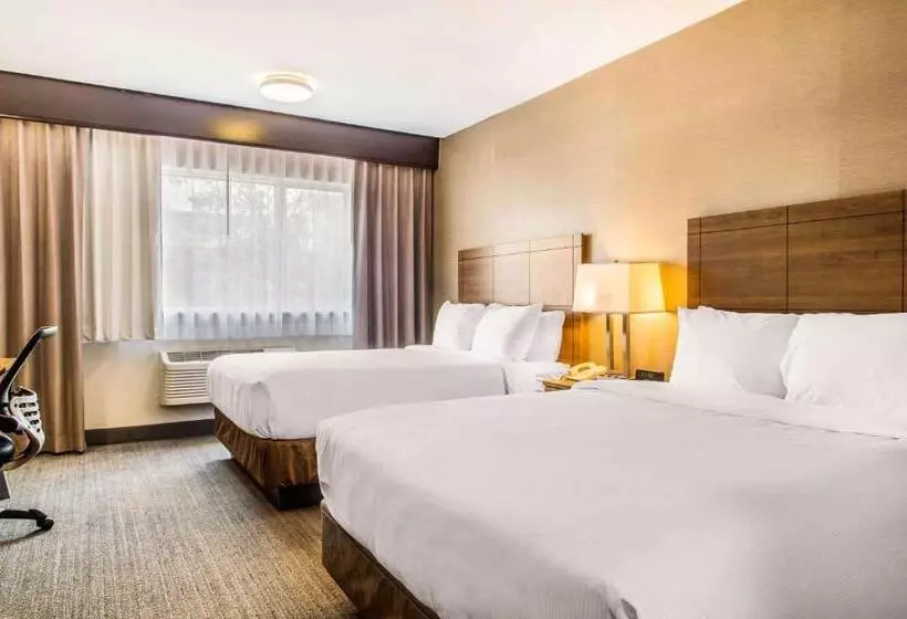 اتاق استاندارد با 2 تخت دوبل, Quality Hotel Dorval Aeroport