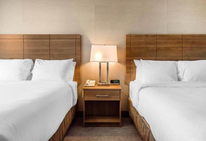 带2个双人床的标准工作室, Quality Hotel Dorval Aeroport