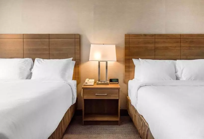 اتاق استاندارد با 2 تخت دوبل, Quality Hotel Dorval Aeroport