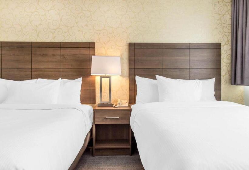 ２ダブルベッドのスタンダードルーム, Quality Hotel Dorval Aeroport