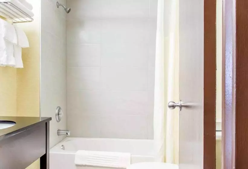 اتاق استاندارد با 2 تخت دوبل, Quality Hotel Dorval Aeroport