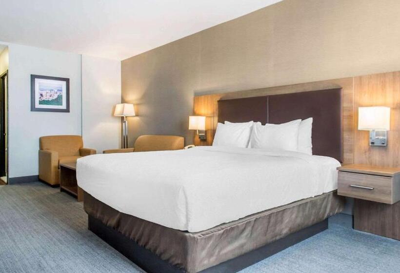 キングサイズベッドのエクゼクティブルーム, Quality Hotel Dorval Aeroport