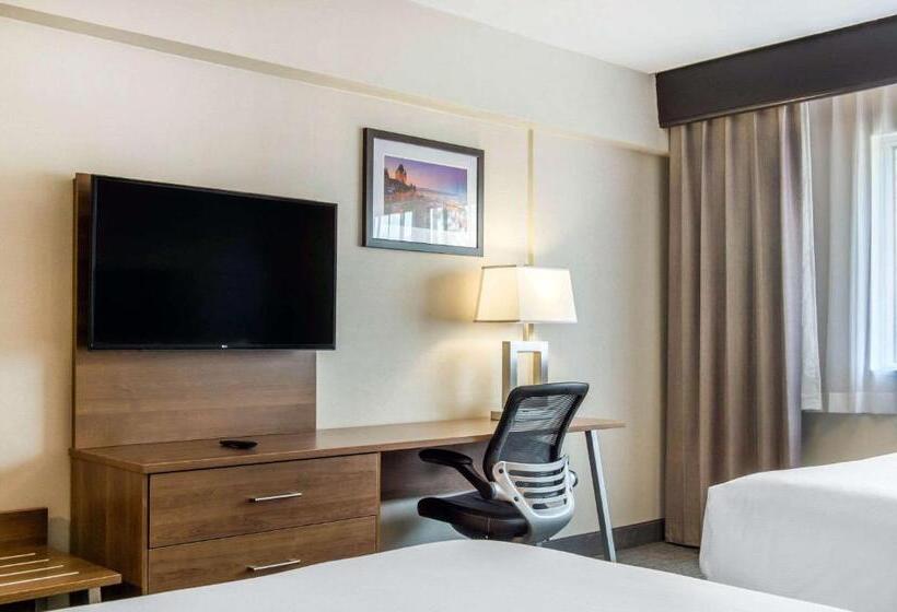 带大床的行政房间, Quality Hotel Dorval Aeroport