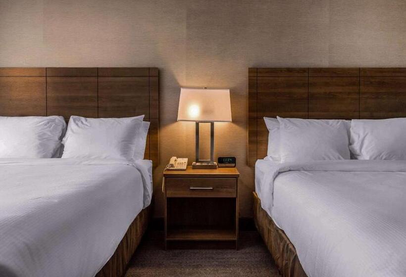 标准间, Quality Hotel Dorval Aeroport