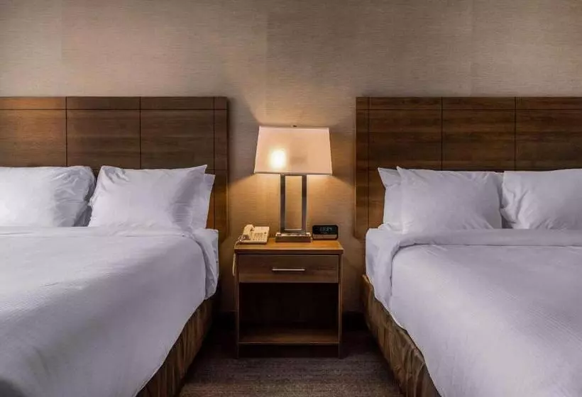 اتاق استاندارد, Quality Hotel Dorval Aeroport