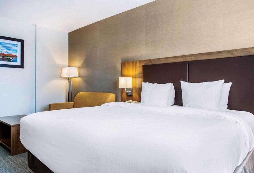 带大床的标准间, Quality Hotel Dorval Aeroport