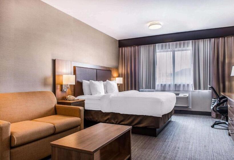 キングサイズベッドのスタンダードルーム, Quality Hotel Dorval Aeroport