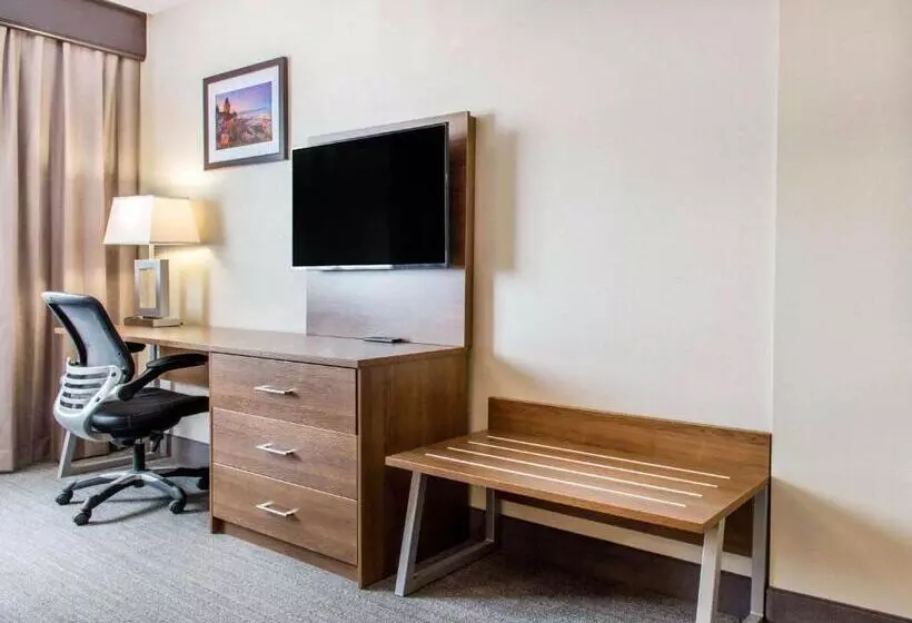 اتاق استاندارد با تخت بزرگ, Quality Hotel Dorval Aeroport