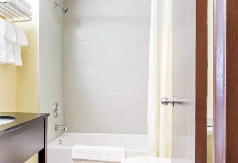 带大床的标准间, Quality Hotel Dorval Aeroport