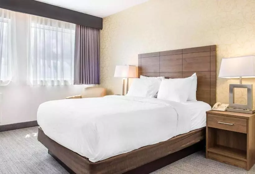 اتاق استاندارد, Quality Hotel Dorval Aeroport