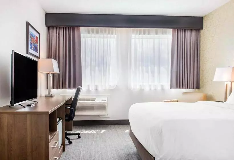 اتاق استاندارد, Quality Hotel Dorval Aeroport