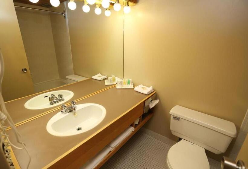 ２ダブルベッドのスタンダードルーム, S Gouverneur Septiles