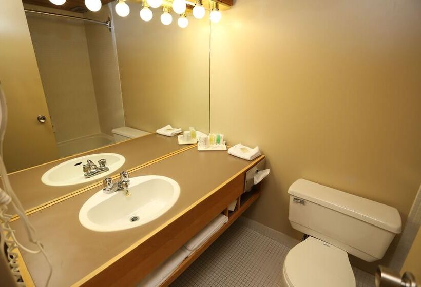 ビジネスルーム, S Gouverneur Septiles