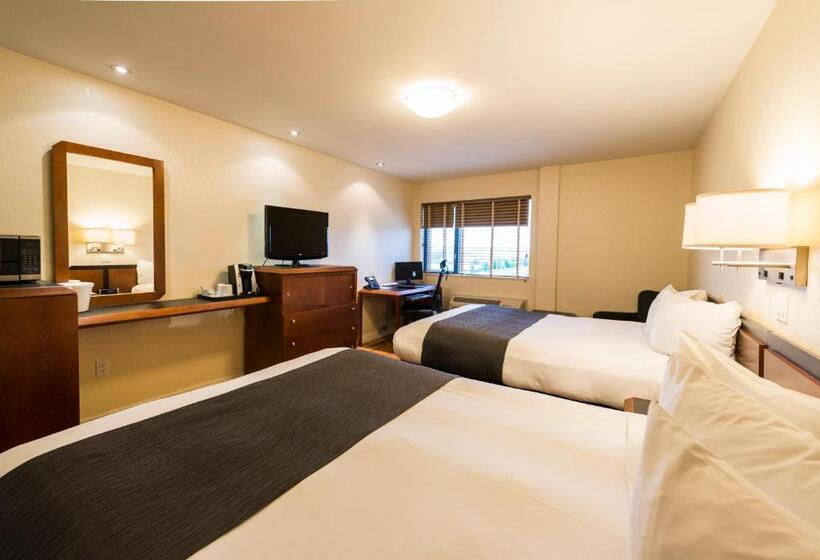 اتاق استاندارد, & Suites Le Dauphin Quebec