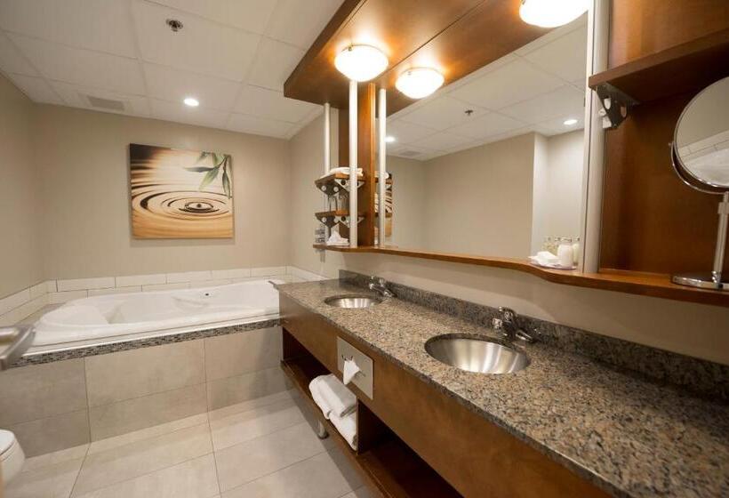 سوییت, & Suites Le Dauphin Quebec