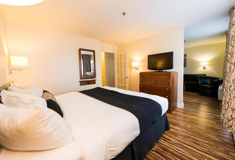 سوییت, & Suites Le Dauphin Quebec