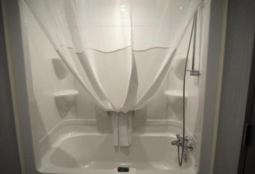 اتاق سوپریور با تخت بزرگ, & Suites Le Dauphin Quebec