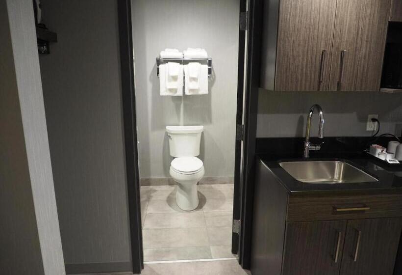 اتاق سوپریور با تخت بزرگ, & Suites Le Dauphin Quebec
