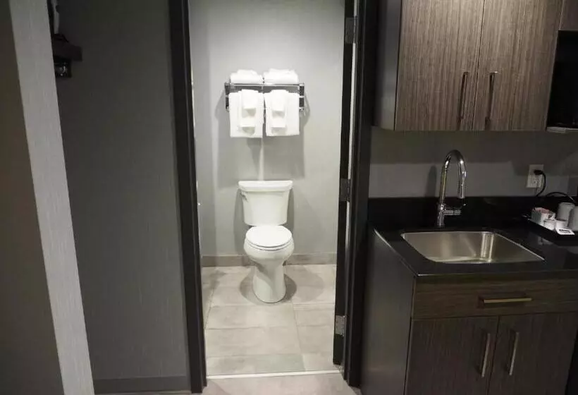 اتاق سوپریور با تخت بزرگ, & Suites Le Dauphin Quebec