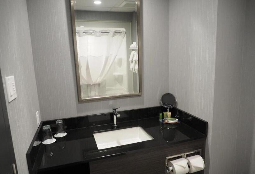 اتاق سوپریور, & Suites Le Dauphin Quebec