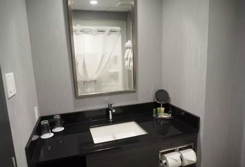 اتاق سوپریور, & Suites Le Dauphin Quebec