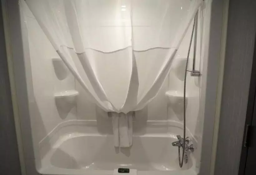 سوییت خانوادگی, & Suites Le Dauphin Quebec