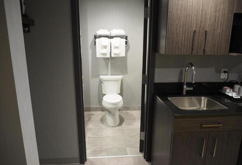 سوییت خانوادگی, & Suites Le Dauphin Quebec