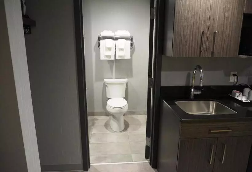 سوییت خانوادگی, & Suites Le Dauphin Quebec