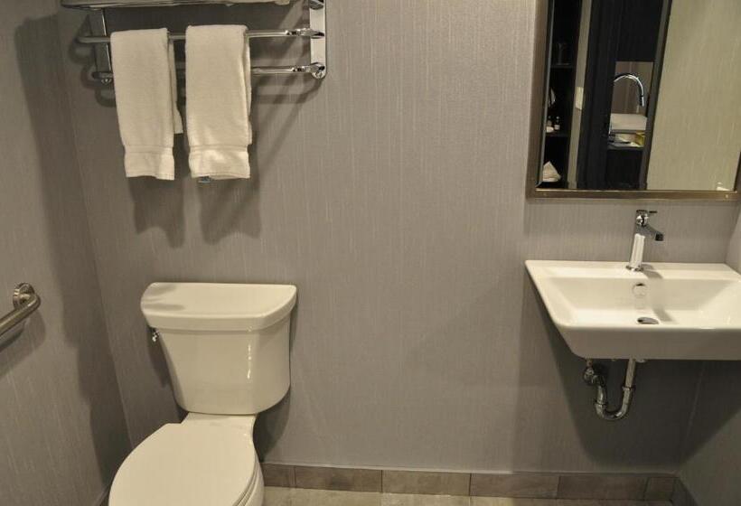 استودیوی استاندارد, & Suites Le Dauphin Quebec