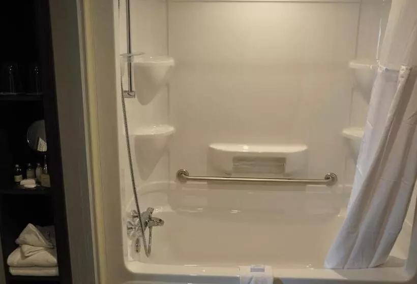 استودیوی استاندارد, & Suites Le Dauphin Quebec