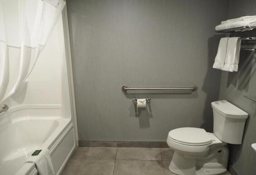 استودیوی استاندارد, & Suites Le Dauphin Quebec