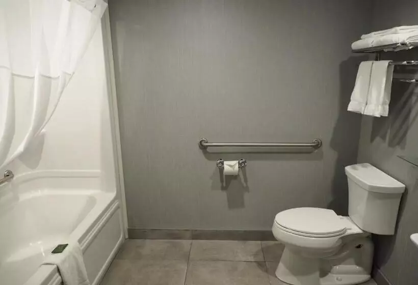 استودیوی استاندارد, & Suites Le Dauphin Quebec