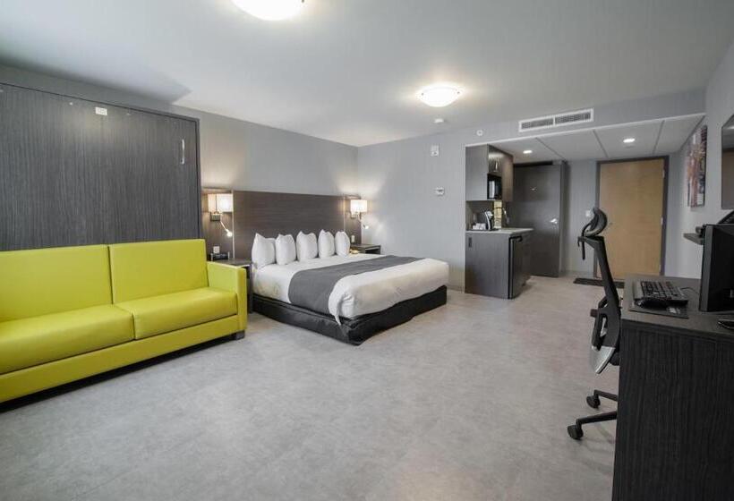 استودیوی استاندارد, & Suites Le Dauphin Quebec