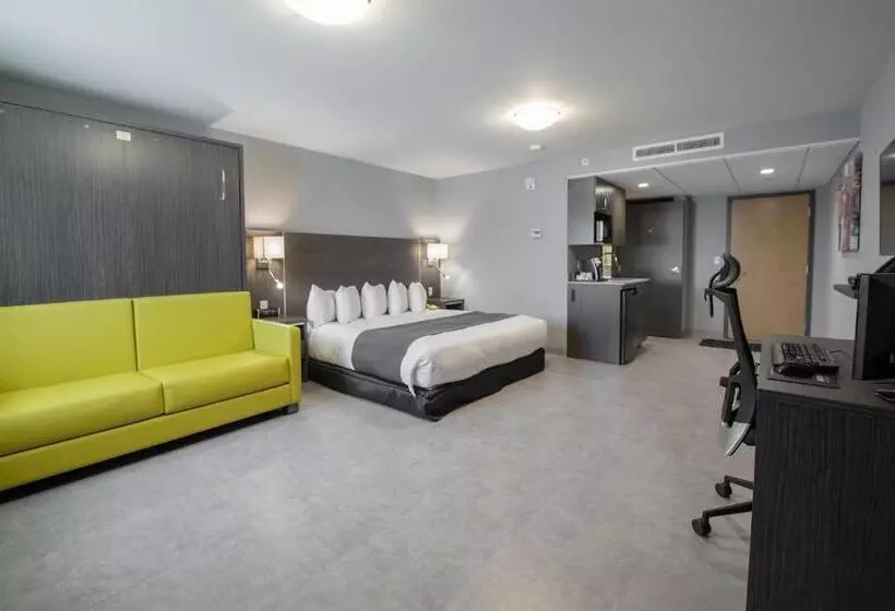 استودیوی استاندارد, & Suites Le Dauphin Quebec