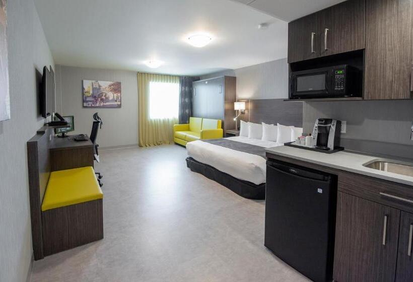استودیوی استاندارد, & Suites Le Dauphin Quebec
