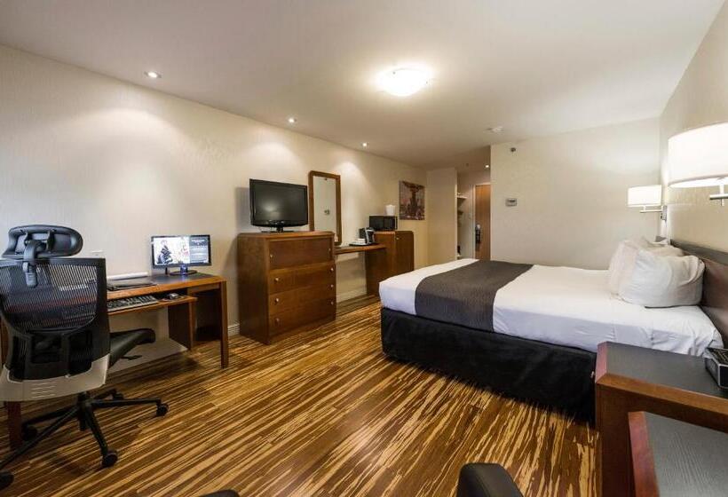 اتاق اجرایی با تخت بزرگ, & Suites Le Dauphin Quebec